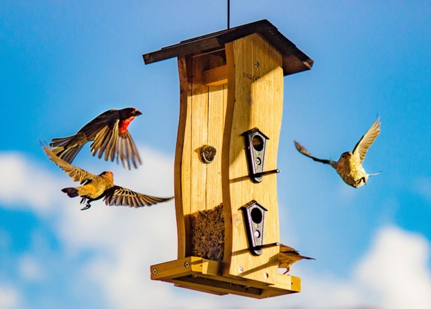 garden flags garden flags