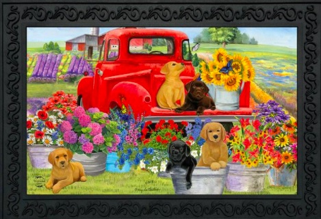 spring doormats spring doormats